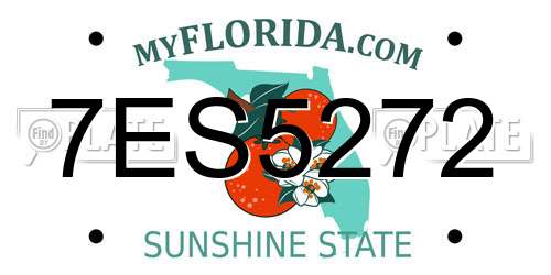 7ES5272 Florida License Plate