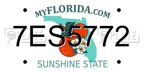 7ES5772 Florida License Plate