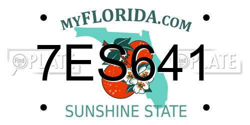 7ES641 Florida License Plate