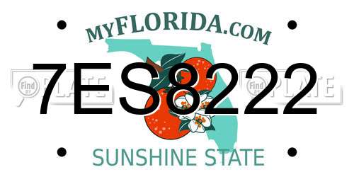 7ES8222 Florida License Plate