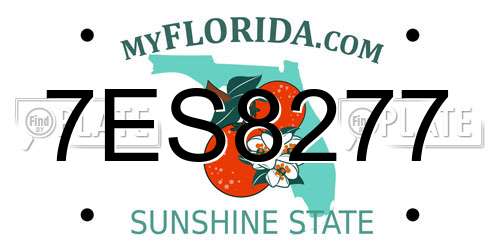 7ES8277 Florida License Plate