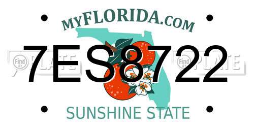 7ES8722 Florida License Plate