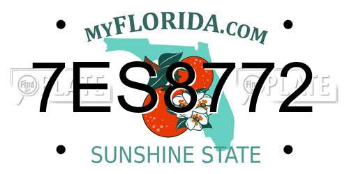 7ES8772 Florida License Plate