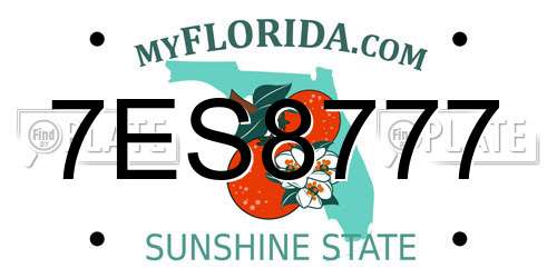 7ES8777 Florida License Plate