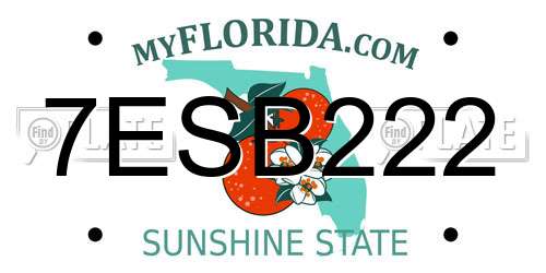 7ESB222 Florida License Plate