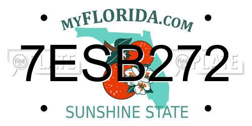 7ESB272 Florida License Plate