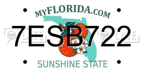 7ESB722 Florida License Plate