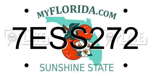 7ESS272 Florida License Plate