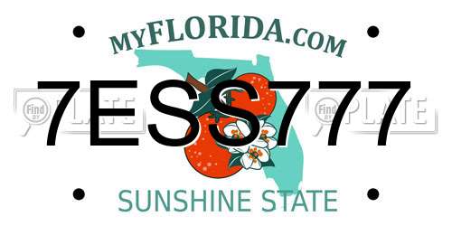 7ESS777 Florida License Plate
