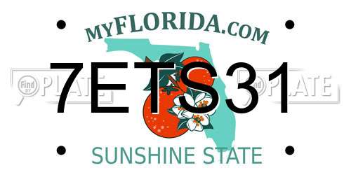 7ETS31 Florida License Plate