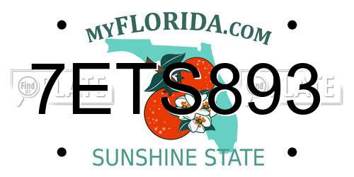 7ETS893 Florida License Plate