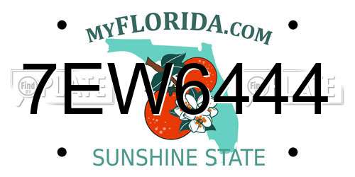 7EW6444 Florida License Plate