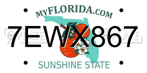 7EWX867 Florida License Plate