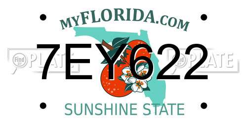 7EY622 Florida License Plate