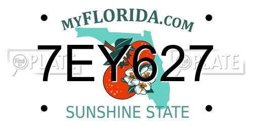 7EY627 Florida License Plate