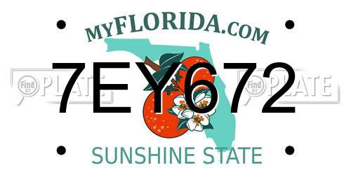 7EY672 Florida License Plate