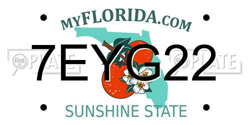 7EYG22 Florida License Plate