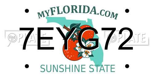 7EYG72 Florida License Plate