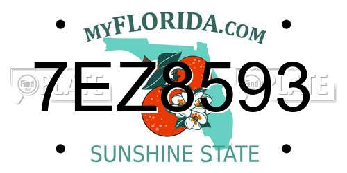 7EZ8593 Florida License Plate