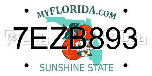 7EZB893 Florida License Plate