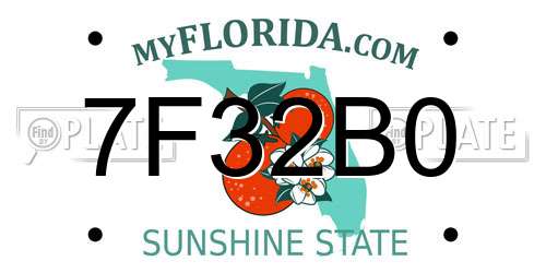7F32B0 Florida License Plate