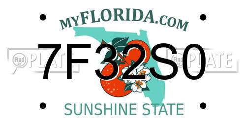 7F32S0 Florida License Plate