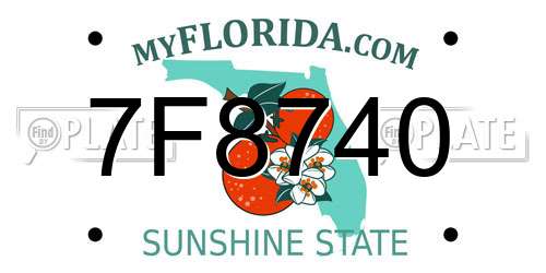 7F8740 Florida License Plate