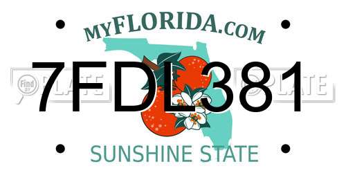 7FDL381 Florida License Plate