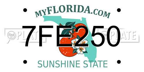 7FE250 Florida License Plate