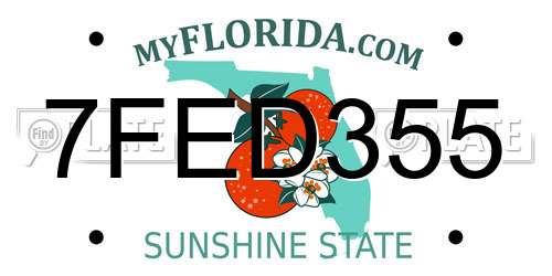 7FED355 Florida License Plate