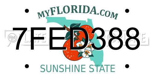 7FED388 Florida License Plate