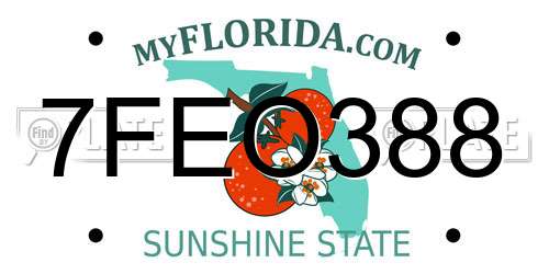 7FEO388 Florida License Plate