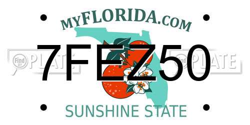 7FEZ50 Florida License Plate