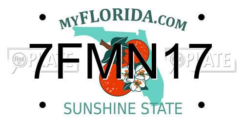 7FMN17 Florida License Plate