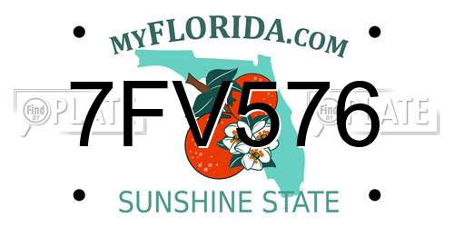 7FV576 Florida License Plate