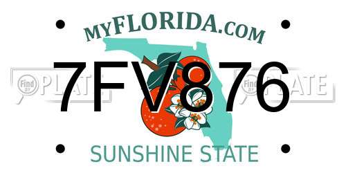 7FV876 Florida License Plate