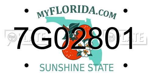 7G02801 Florida License Plate