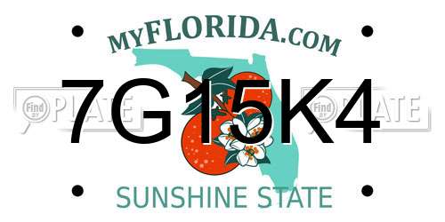 7G15K4 Florida License Plate