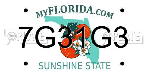 7G31G3 Florida License Plate