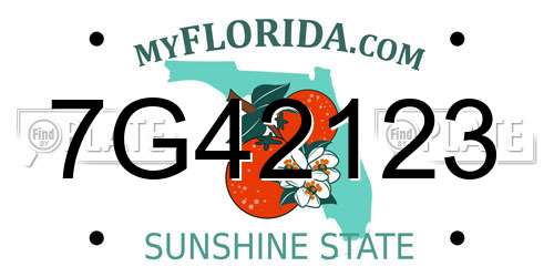 7G42123 Florida License Plate