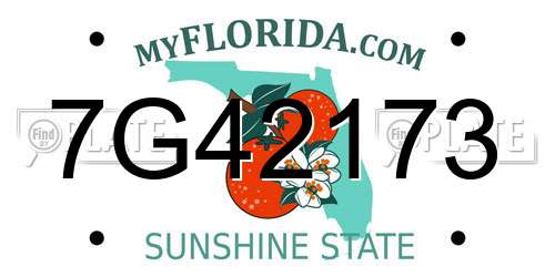 7G42173 Florida License Plate