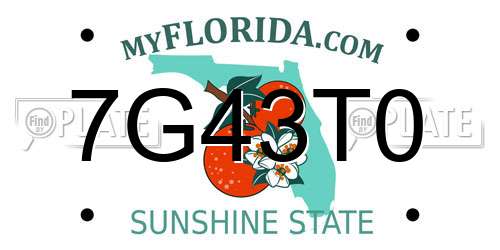 7G43T0 Florida License Plate