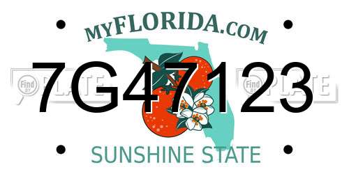 7G47123 Florida License Plate