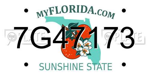 7G47173 Florida License Plate