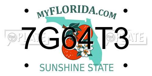 7G64T3 Florida License Plate
