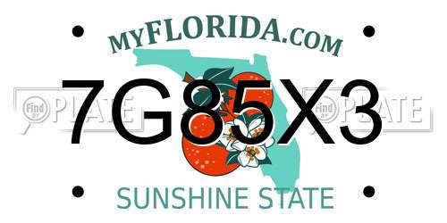 7G85X3 Florida License Plate