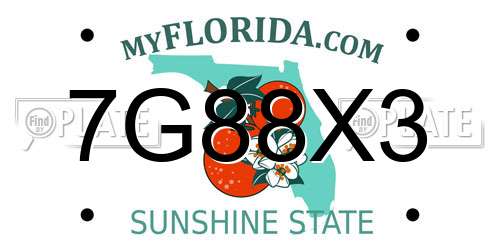 7G88X3 Florida License Plate