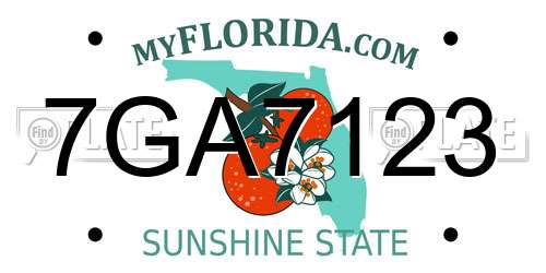 7GA7123 Florida License Plate