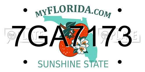 7GA7173 Florida License Plate