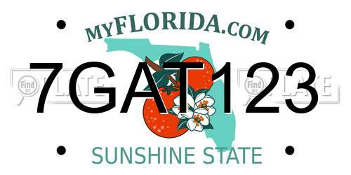 7GAT123 Florida License Plate